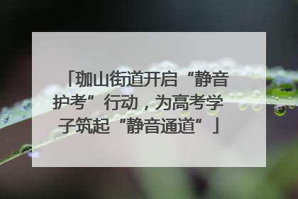 珈山街道开启“静音护考”行动，为高考学子筑起“静音通道”