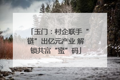 玉门：村企联手“链”出亿元产业 解锁共富“蜜”码