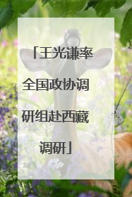 王光谦率全国政协调研组赴西藏调研