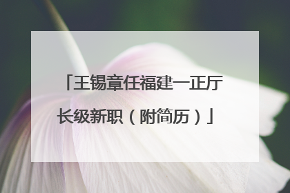 王锡章任福建一正厅长级新职（附简历）