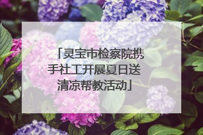 灵宝市检察院携手社工开展夏日送清凉帮教活动