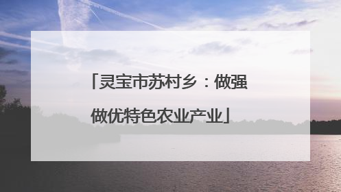 灵宝市苏村乡：做强做优特色农业产业