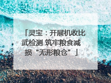 灵宝：开展机收比武检测 筑牢粮食减损“无形粮仓”