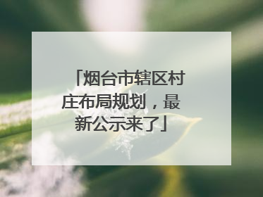 烟台市辖区村庄布局规划，最新公示来了