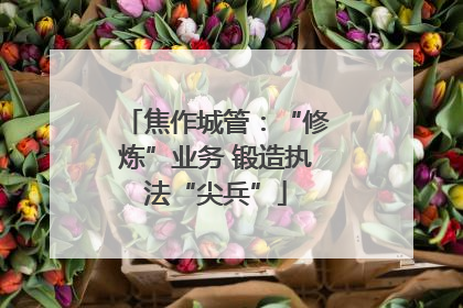 焦作城管：“修炼”业务 锻造执法“尖兵”