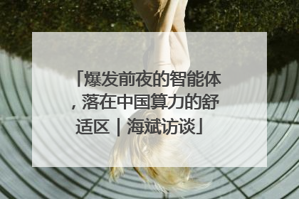 爆发前夜的智能体，落在中国算力的舒适区｜海斌访谈