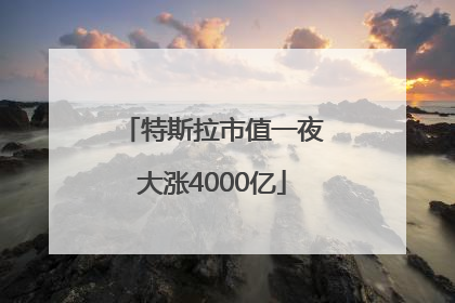 特斯拉市值一夜大涨4000亿