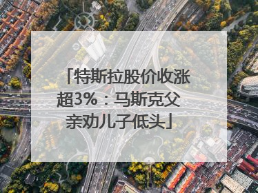 特斯拉股价收涨超3%：马斯克父亲劝儿子低头