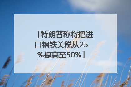 特朗普称将把进口钢铁关税从25%提高至50%