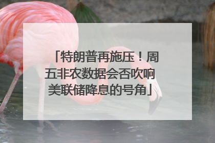 特朗普再施压！周五非农数据会否吹响美联储降息的号角