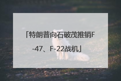 特朗普向石破茂推销F-47、F-22战机