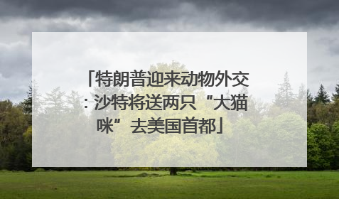 特朗普迎来动物外交：沙特将送两只“大猫咪”去美国首都
