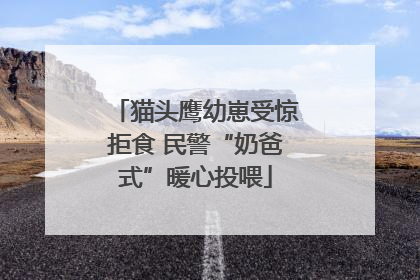 猫头鹰幼崽受惊拒食 民警“奶爸式”暖心投喂