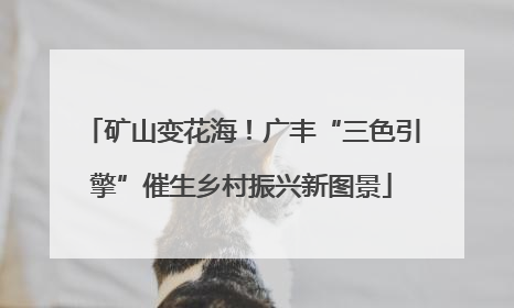矿山变花海！广丰“三色引擎”催生乡村振兴新图景