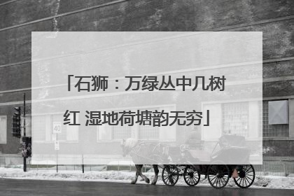 石狮：万绿丛中几树红 湿地荷塘韵无穷