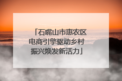 石嘴山市惠农区电商引擎驱动乡村振兴焕发新活力