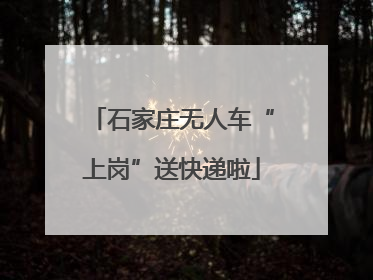 石家庄无人车“上岗”送快递啦