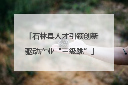 石林县人才引领创新驱动产业“三级跳”
