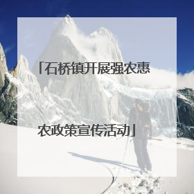 石桥镇开展强农惠农政策宣传活动
