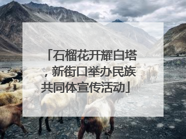 石榴花开耀白塔，新街口举办民族共同体宣传活动