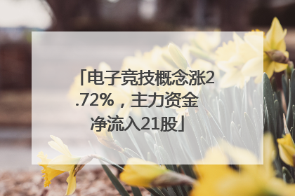 电子竞技概念涨2.72%，主力资金净流入21股