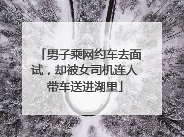 男子乘网约车去面试，却被女司机连人带车送进湖里