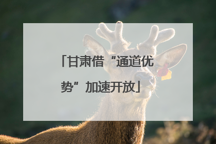 甘肃借“通道优势”加速开放