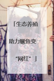 生态养殖助力鳜鱼变“网红”