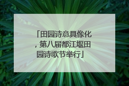 田园诗意具像化，第八届都江堰田园诗歌节举行