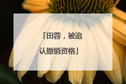 田蓉，被追认撤销资格