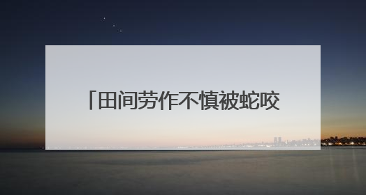 田间劳作不慎被蛇咬伤 石峰区医联体协作跑出急救新速度