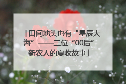田间地头也有“星辰大海”——三位“00后”新农人的夏收故事