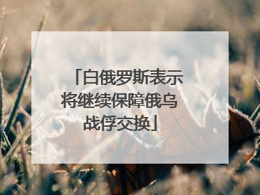 白俄罗斯表示将继续保障俄乌战俘交换