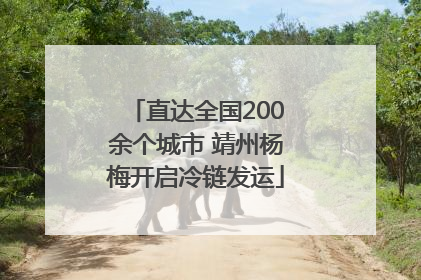 直达全国200余个城市 靖州杨梅开启冷链发运