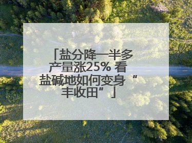 盐分降一半多 产量涨25% 看盐碱地如何变身“丰收田”