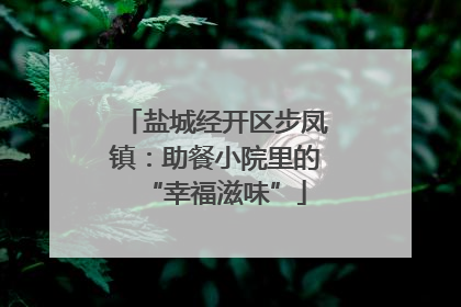 盐城经开区步凤镇：助餐小院里的“幸福滋味”