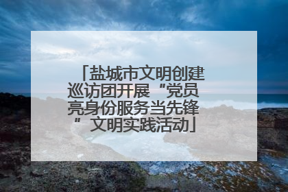 盐城市文明创建巡访团开展“党员亮身份服务当先锋”文明实践活动