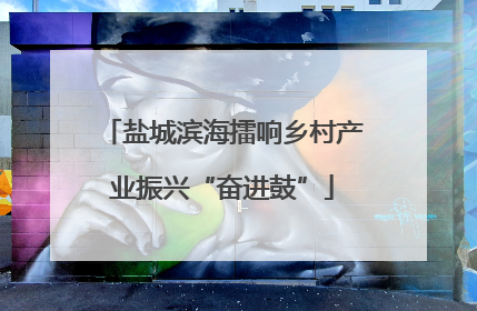 盐城滨海擂响乡村产业振兴“奋进鼓”