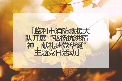 监利市消防救援大队开展“弘扬抗洪精神，献礼建党华诞”主题党日活动