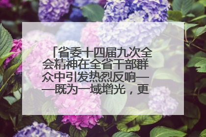 省委十四届九次全会精神在全省干部群众中引发热烈反响——既为一域增光，更为全局添彩