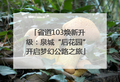 省道103焕新升级：泉城“后花园”开启梦幻公路之旅