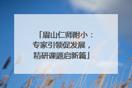眉山仁师附小：专家引领促发展，精研课题启新篇