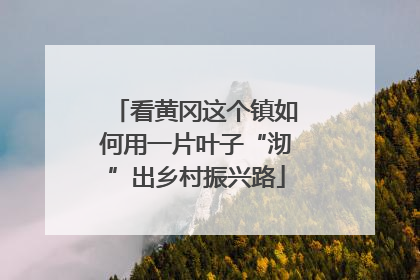 看黄冈这个镇如何用一片叶子“沏”出乡村振兴路