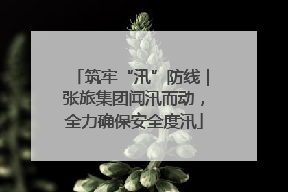 筑牢“汛”防线｜张旅集团闻汛而动，全力确保安全度汛