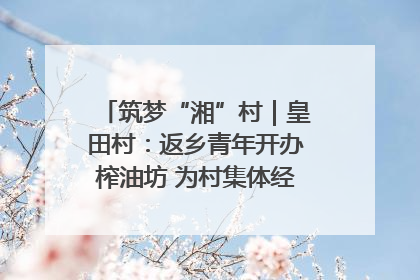 筑梦“湘”村｜皇田村：返乡青年开办榨油坊 为村集体经济“加油”