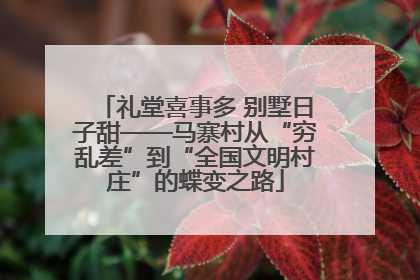 礼堂喜事多 别墅日子甜——马寨村从“穷乱差”到“全国文明村庄”的蝶变之路