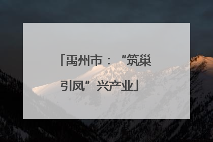 禹州市：“筑巢引凤”兴产业