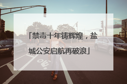 禁毒十年铸辉煌，盐城公安启航再破浪