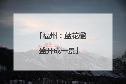 福州：蓝花楹盛开成一景