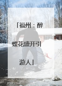 福州：醉蝶花盛开引游人